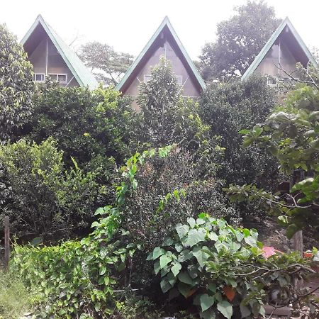 Fireside Inn And Grill โบเกเต ภายนอก รูปภาพ
