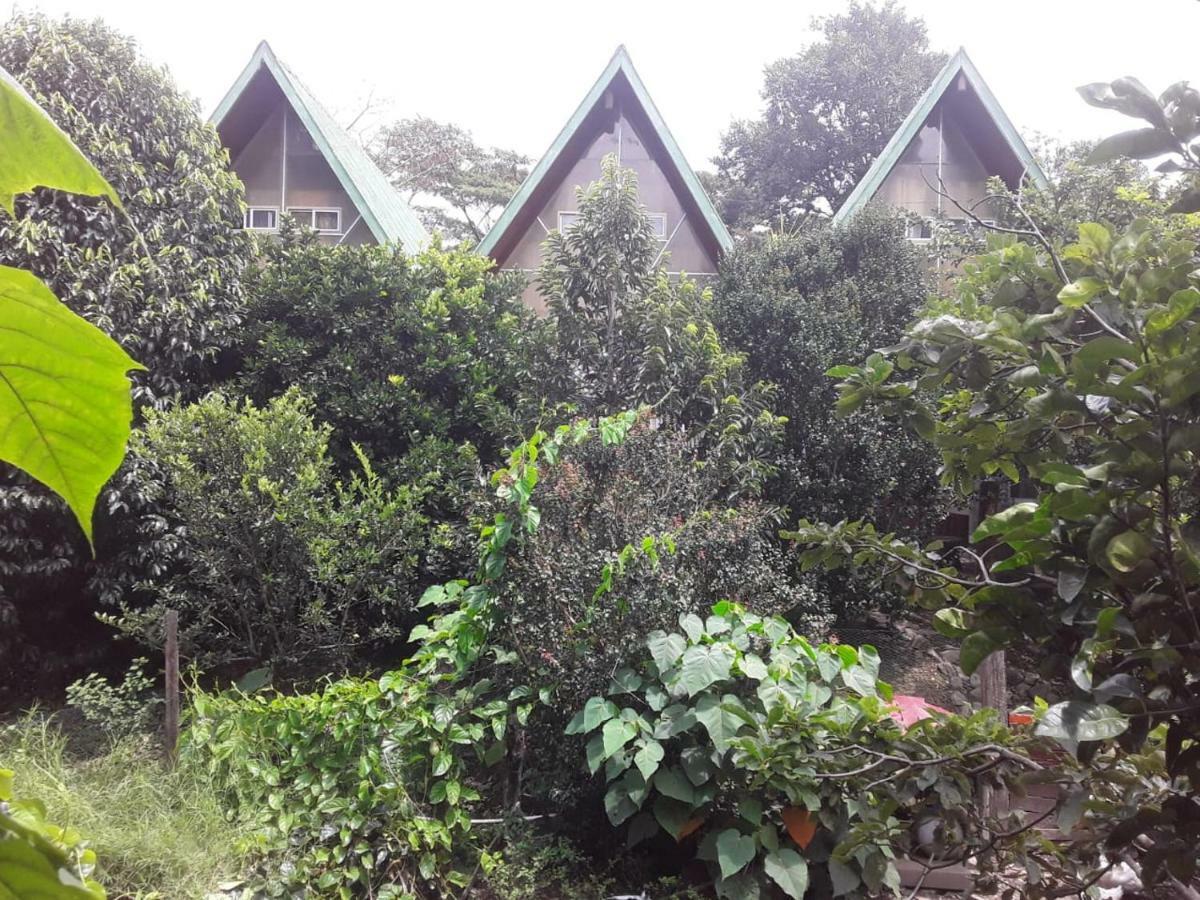 Fireside Inn And Grill โบเกเต ภายนอก รูปภาพ